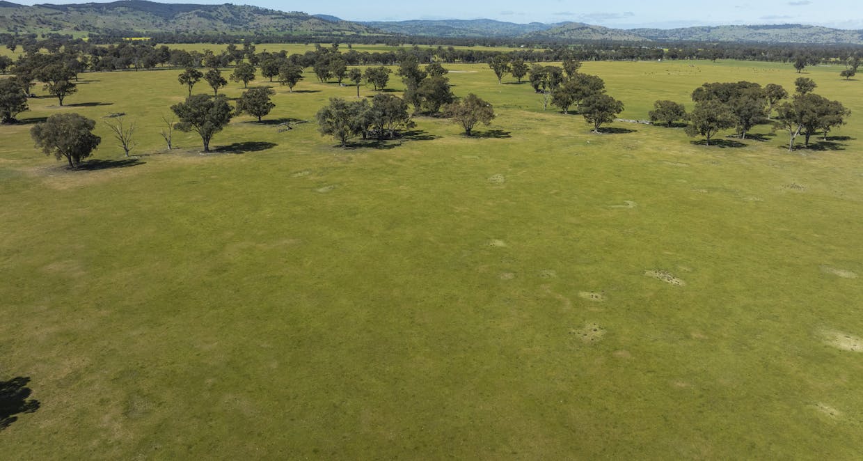 Mahers Road, Violet Town, VIC, 3669 - Image 17