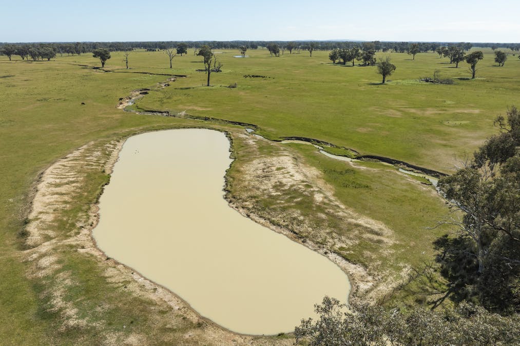 Mahers Road, Violet Town, VIC, 3669 - Image 18