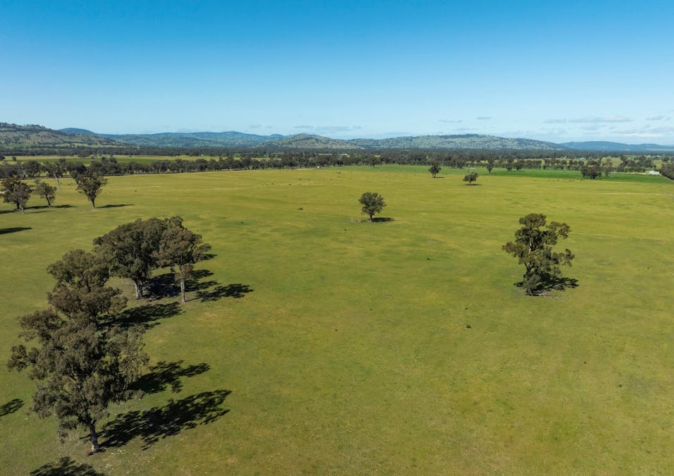 Mahers Road, Violet Town, VIC, 3669 - Image 2