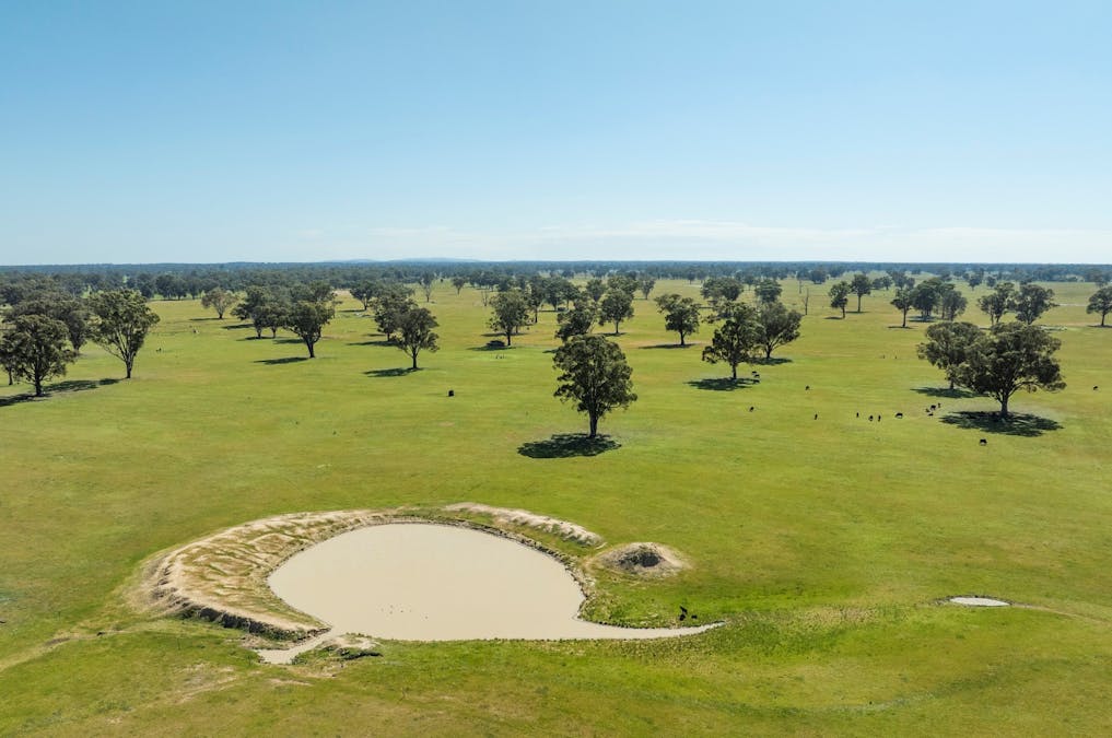 Mahers Road, Violet Town, VIC, 3669 - Image 3