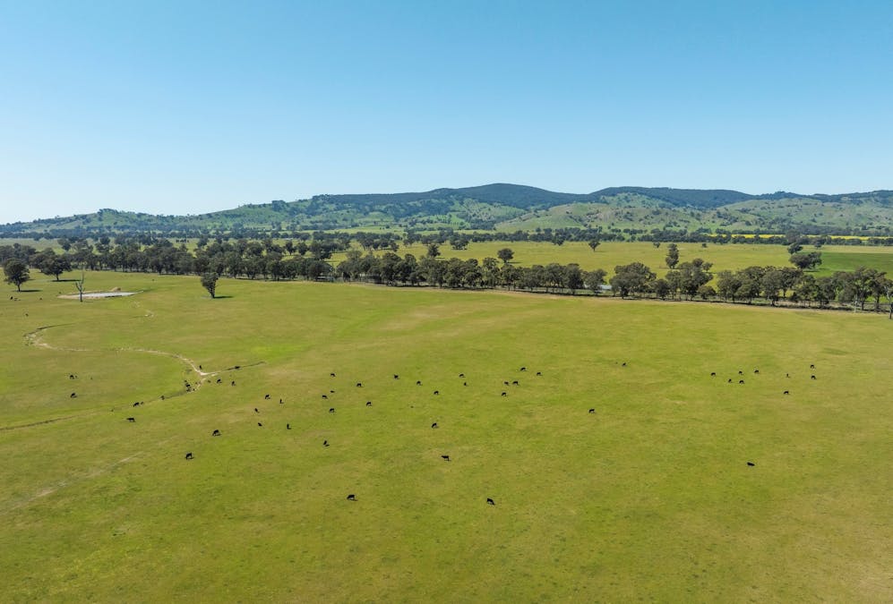 Mahers Road, Violet Town, VIC, 3669 - Image 1