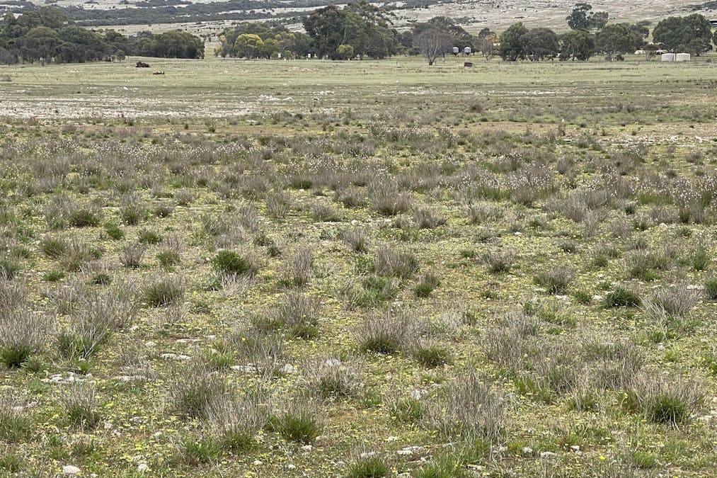 1/Section 217, 217 & 219 , Bramfield, SA, 5670 - Image 1
