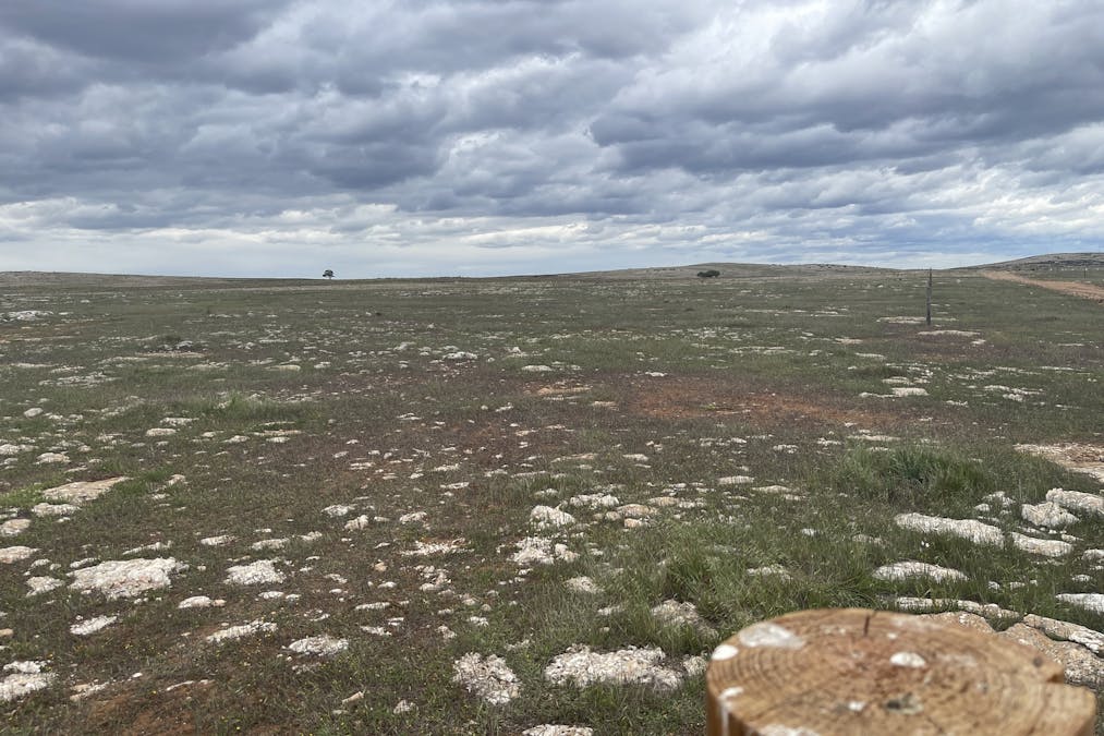 1/Section 217, 217 & 219 , Bramfield, SA, 5670 - Image 6