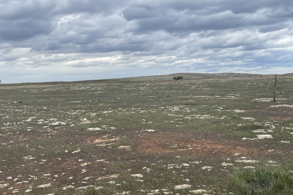 1/Section 217, 217 & 219 , Bramfield, SA, 5670 - Image 4