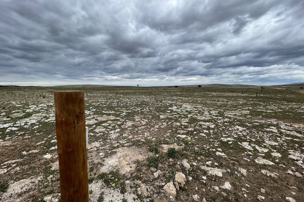 1/Section 217, 217 & 219 , Bramfield, SA, 5670 - Image 3