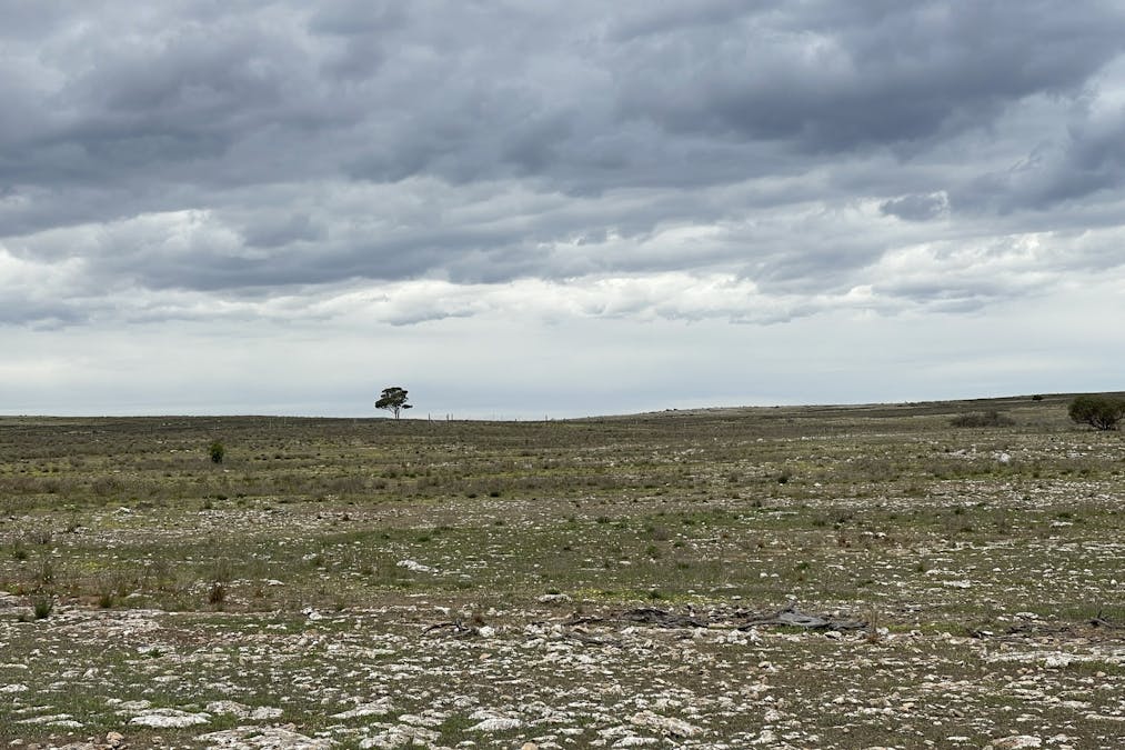 1/Section 217, 217 & 219 , Bramfield, SA, 5670 - Image 7