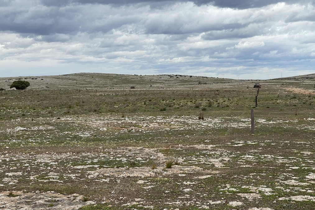 1/Section 217, 217 & 219 , Bramfield, SA, 5670 - Image 9