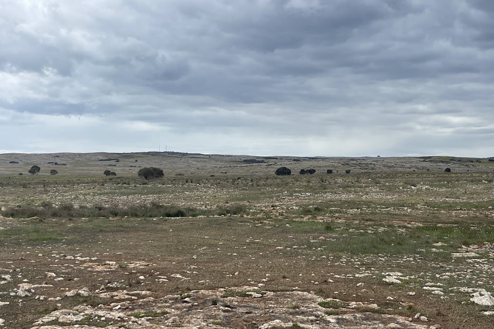 1/Section 217, 217 & 219 , Bramfield, SA, 5670 - Image 10