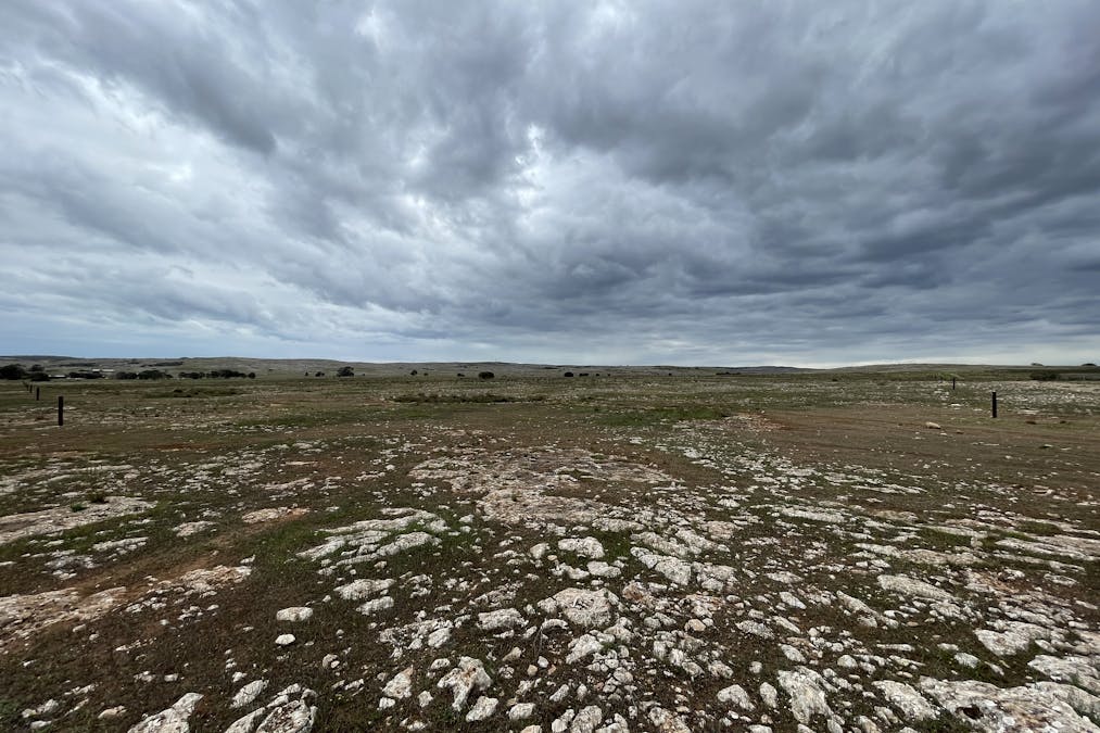 1/Section 217, 217 & 219 , Bramfield, SA, 5670 - Image 11