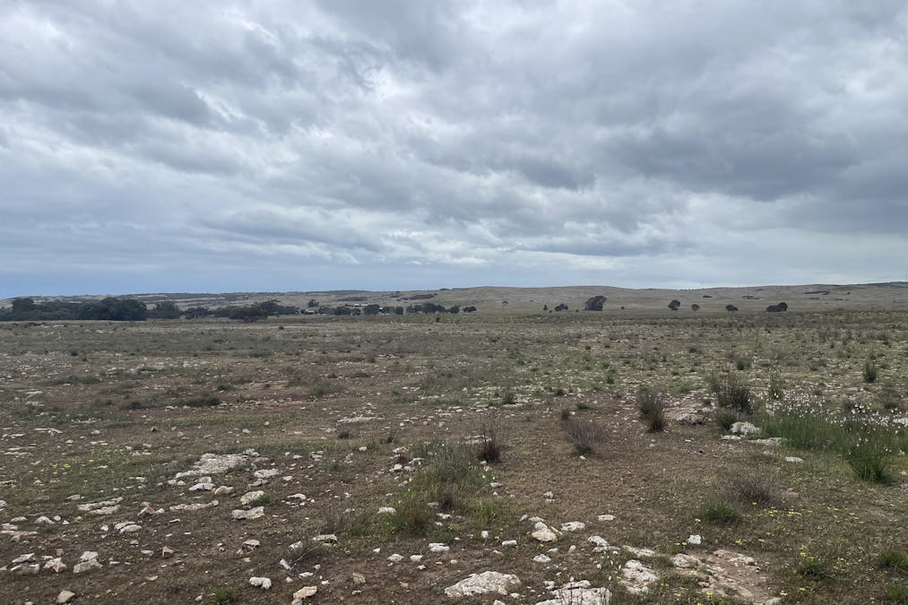 1/Section 217, 217 & 219 , Bramfield, SA, 5670 - Image 14