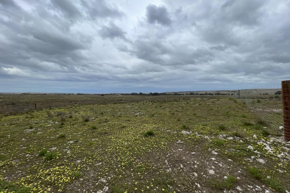 1/Section 217, 217 & 219 , Bramfield, SA, 5670 - Image 15