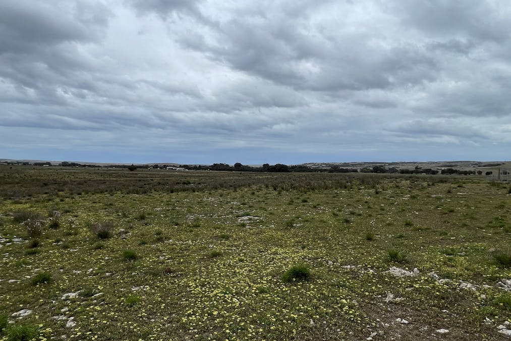 1/Section 217, 217 & 219 , Bramfield, SA, 5670 - Image 16