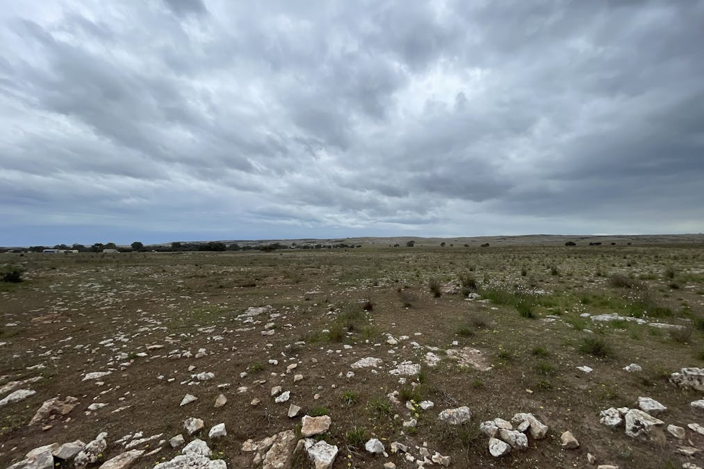 1/Section 217, 217 & 219 , Bramfield, SA, 5670 - Image 17