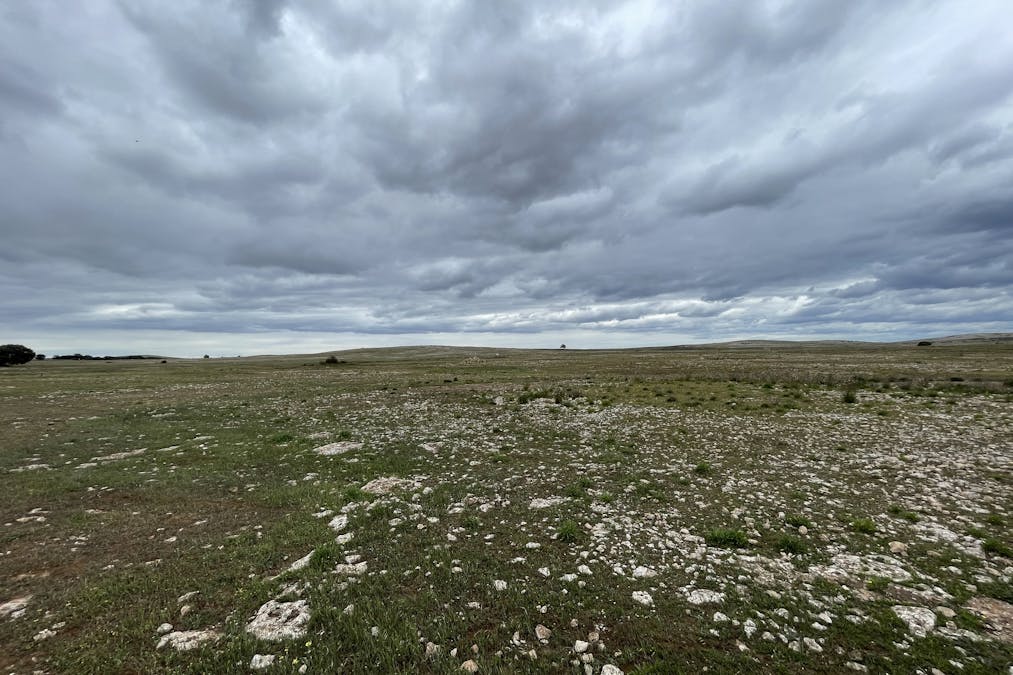 1/Section 217, 217 & 219 , Bramfield, SA, 5670 - Image 18
