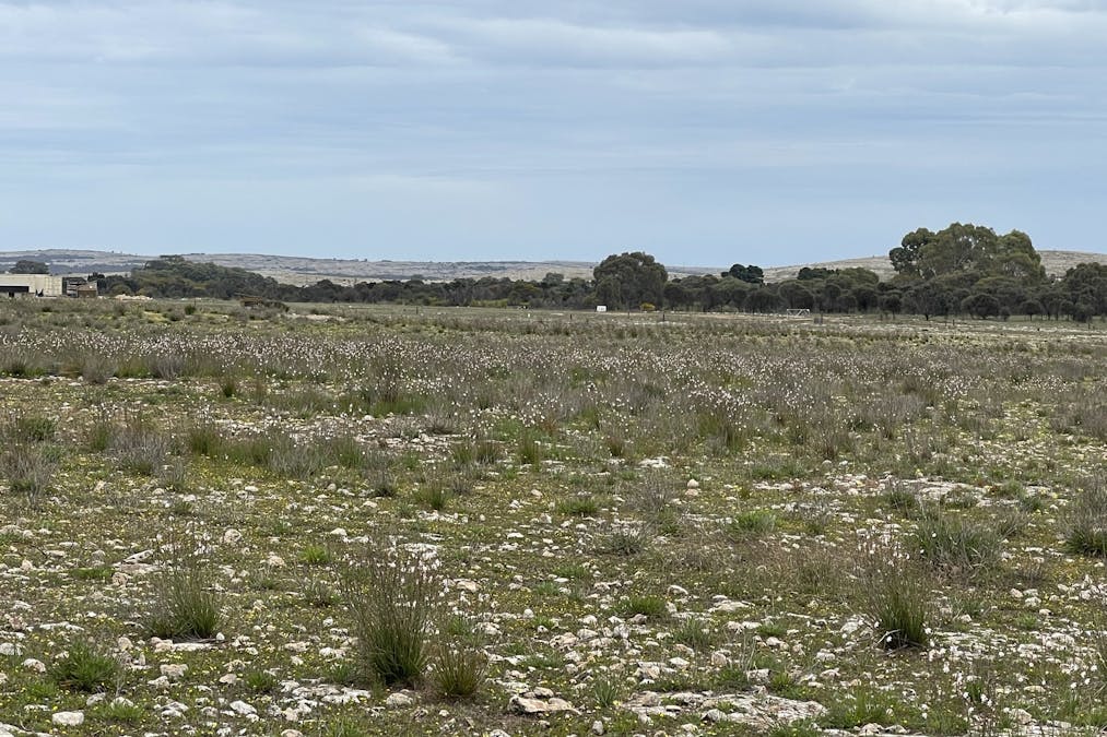 1/Section 217, 217 & 219 , Bramfield, SA, 5670 - Image 19