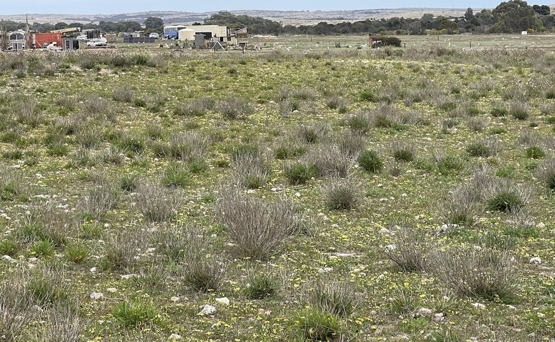1/Section 217, 217 & 219 , Bramfield, SA, 5670 - Image 20