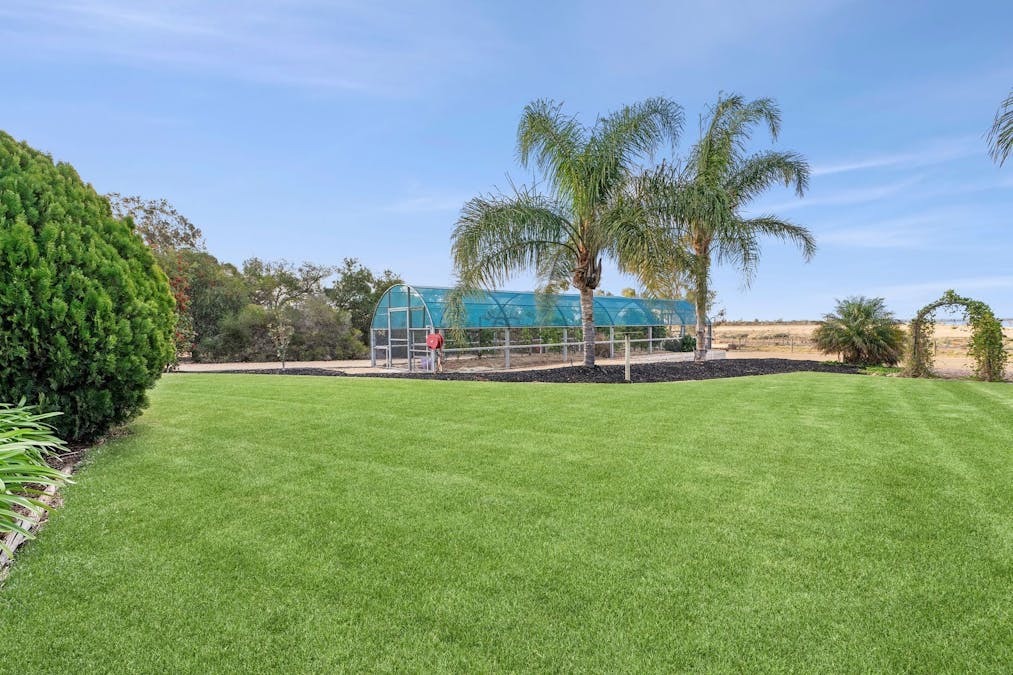 17293 Sturt Highway, Barmera, SA, 5345 - Image 19