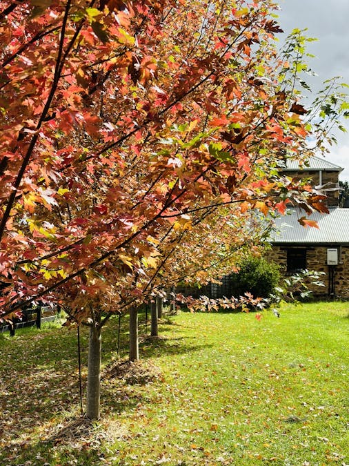 103 Queen Street, Crookwell, NSW, 2583 - Image 7