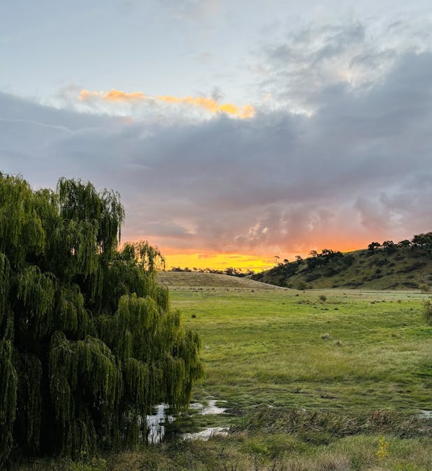 103 Queen Street, Crookwell, NSW, 2583 - Image 9