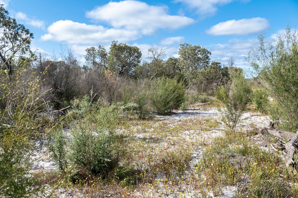 3691/Duffy Road, Bambun, WA, 6503 - Image 5