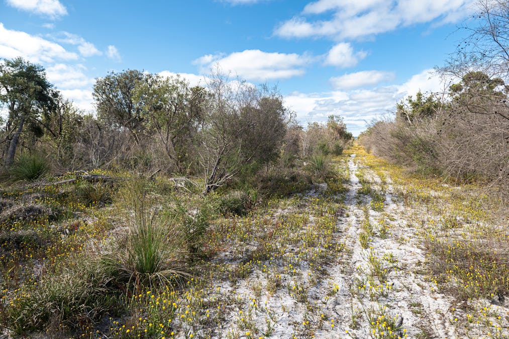 3691/Duffy Road, Bambun, WA, 6503 - Image 6