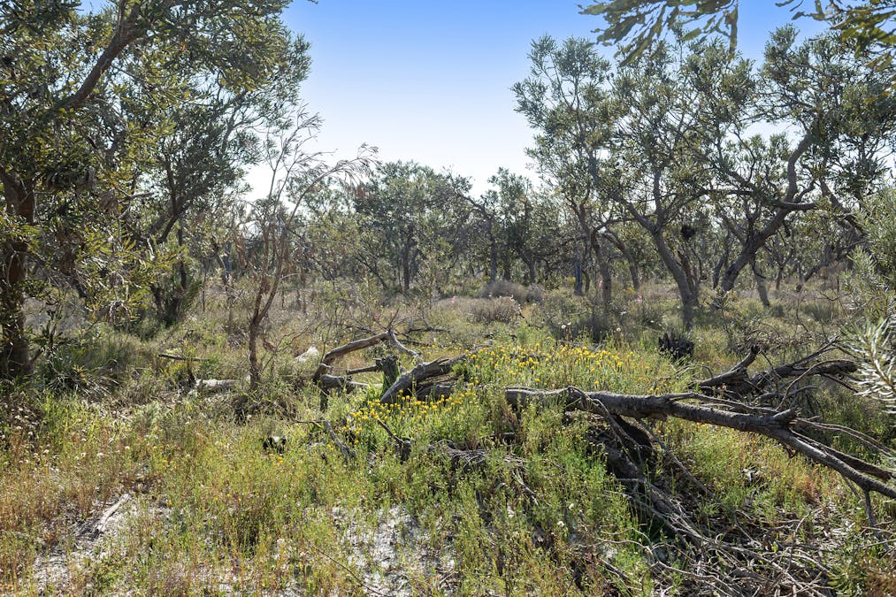 3691/Duffy Road, Bambun, WA, 6503 - Image 9