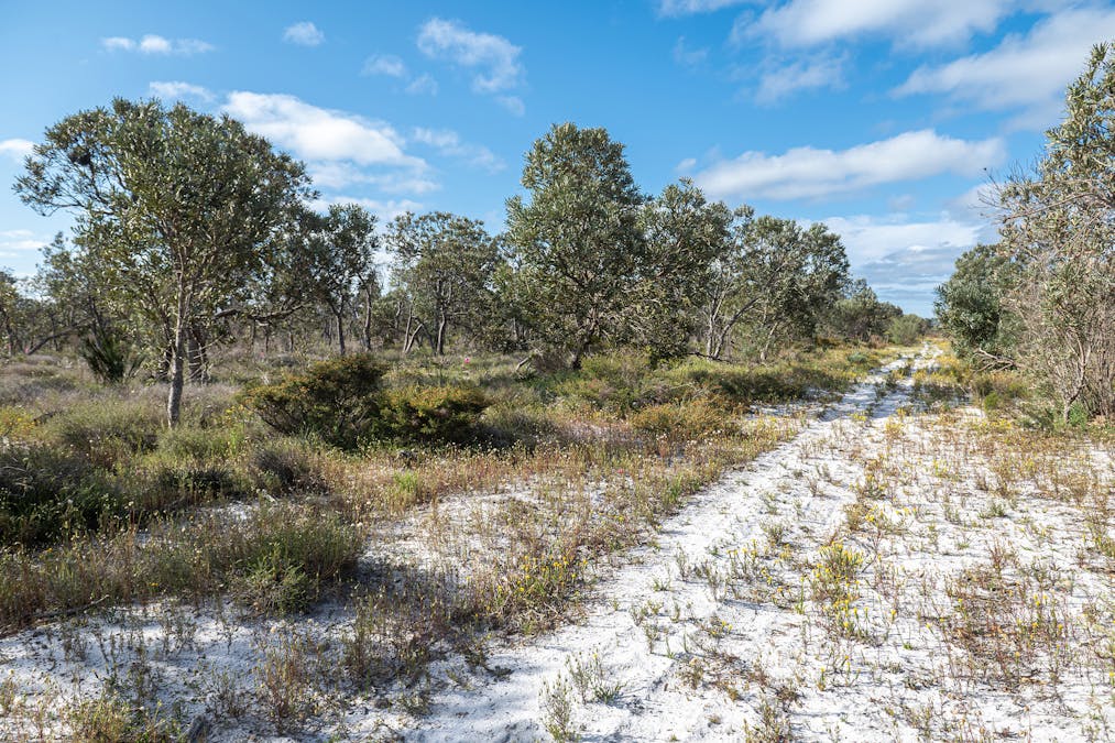 3691/Duffy Road, Bambun, WA, 6503 - Image 10