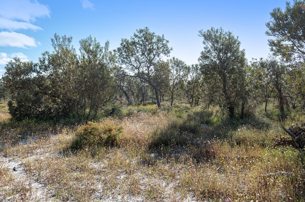 3691/Duffy Road, Bambun, WA, 6503 - Image 12