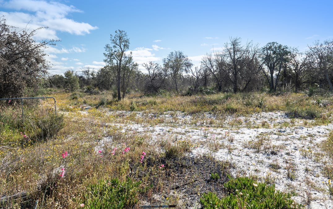 3691/Duffy Road, Bambun, WA, 6503 - Image 13