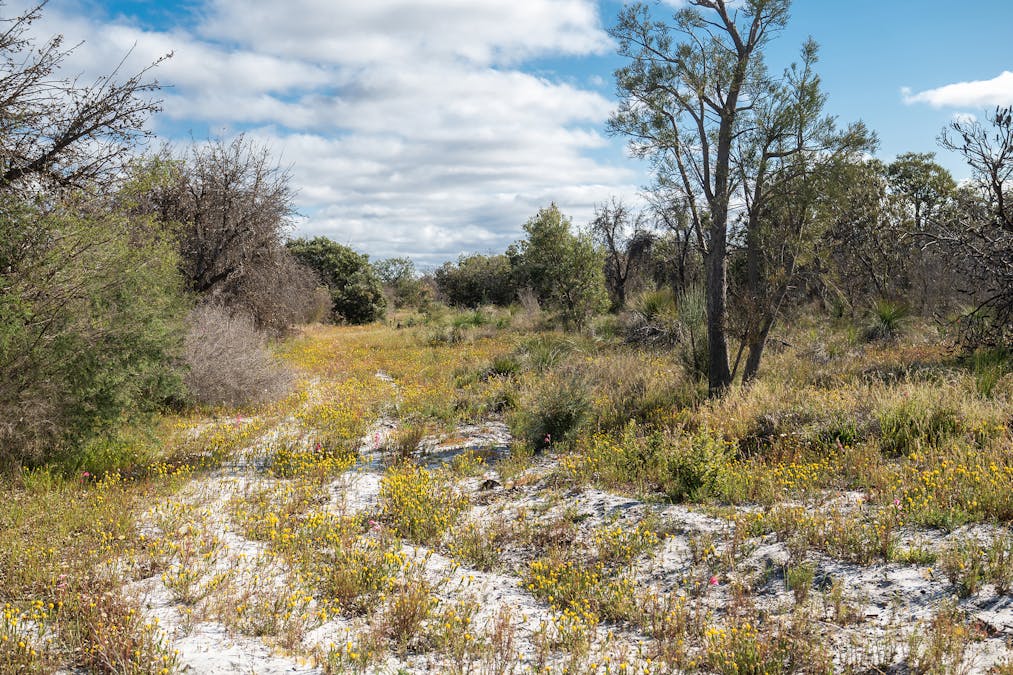 3691/Duffy Road, Bambun, WA, 6503 - Image 14