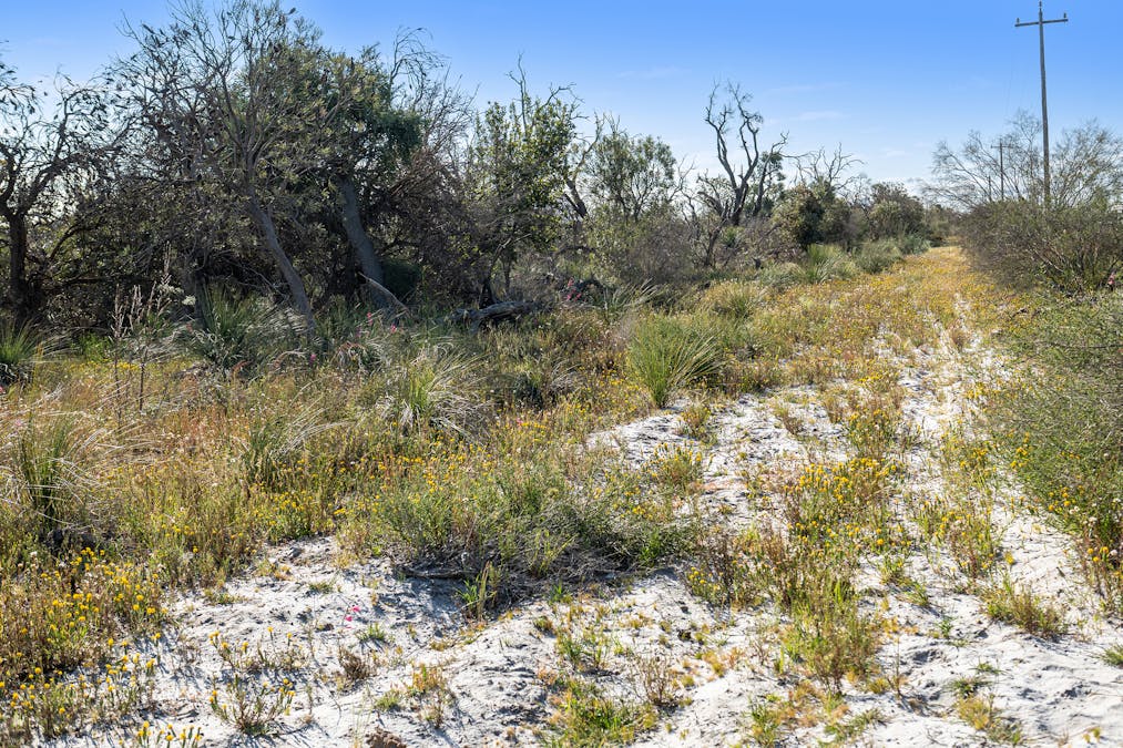 3691/Duffy Road, Bambun, WA, 6503 - Image 15