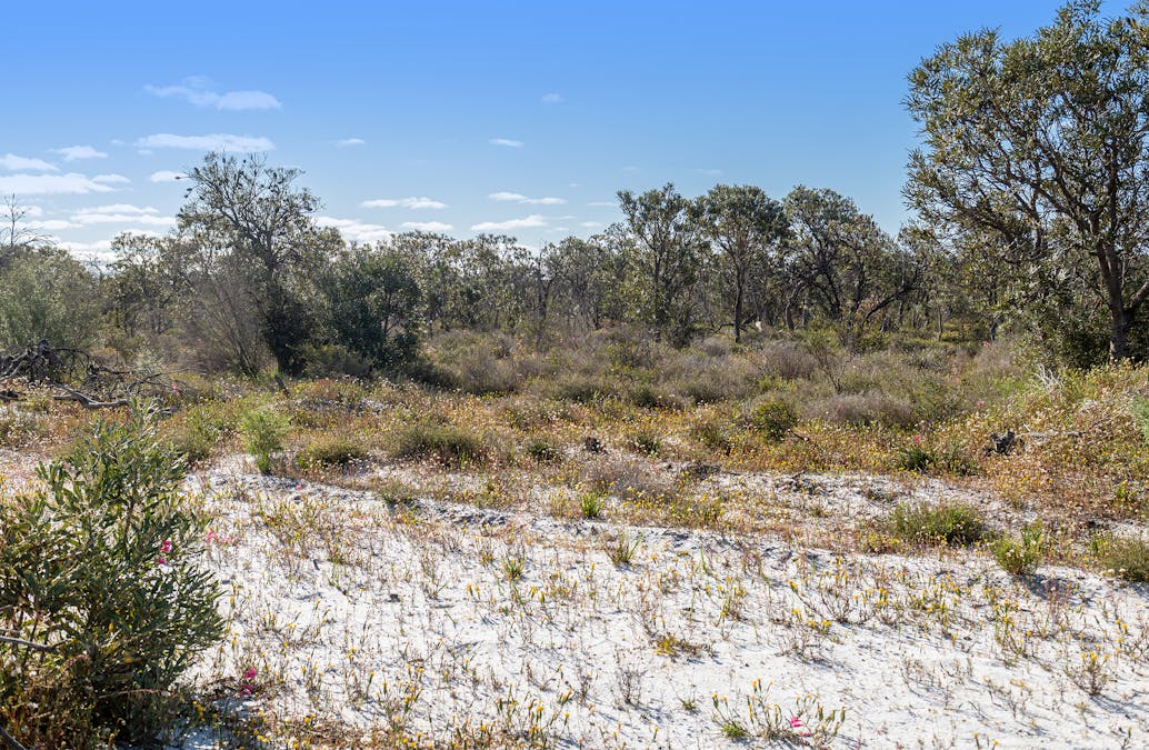 3691/Duffy Road, Bambun, WA, 6503 - Image 16