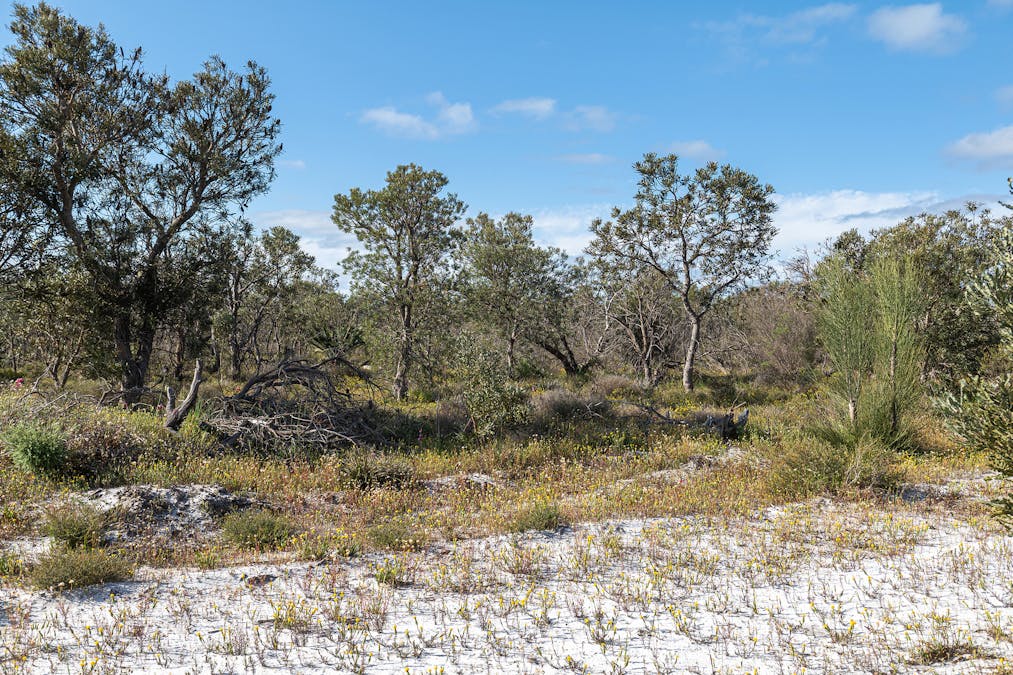 3691/Duffy Road, Bambun, WA, 6503 - Image 17