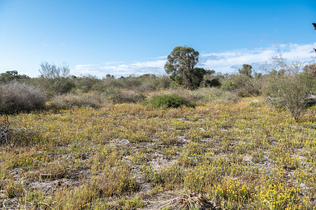 3691/Duffy Road, Bambun, WA, 6503 - Image 18