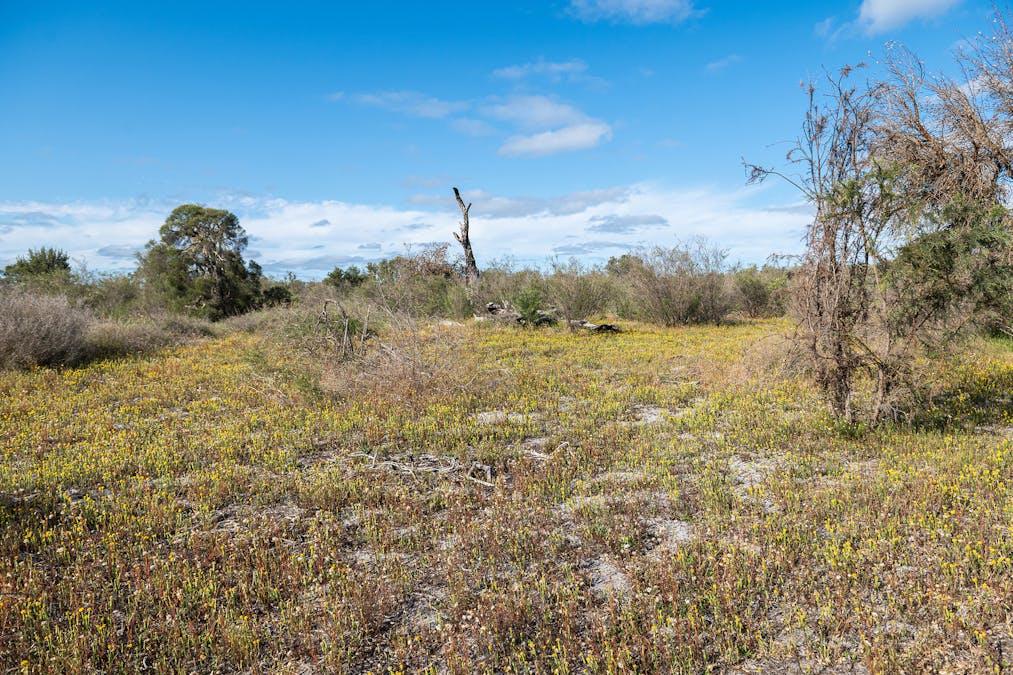3691/Duffy Road, Bambun, WA, 6503 - Image 20