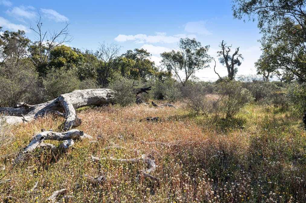 3691/Duffy Road, Bambun, WA, 6503 - Image 21