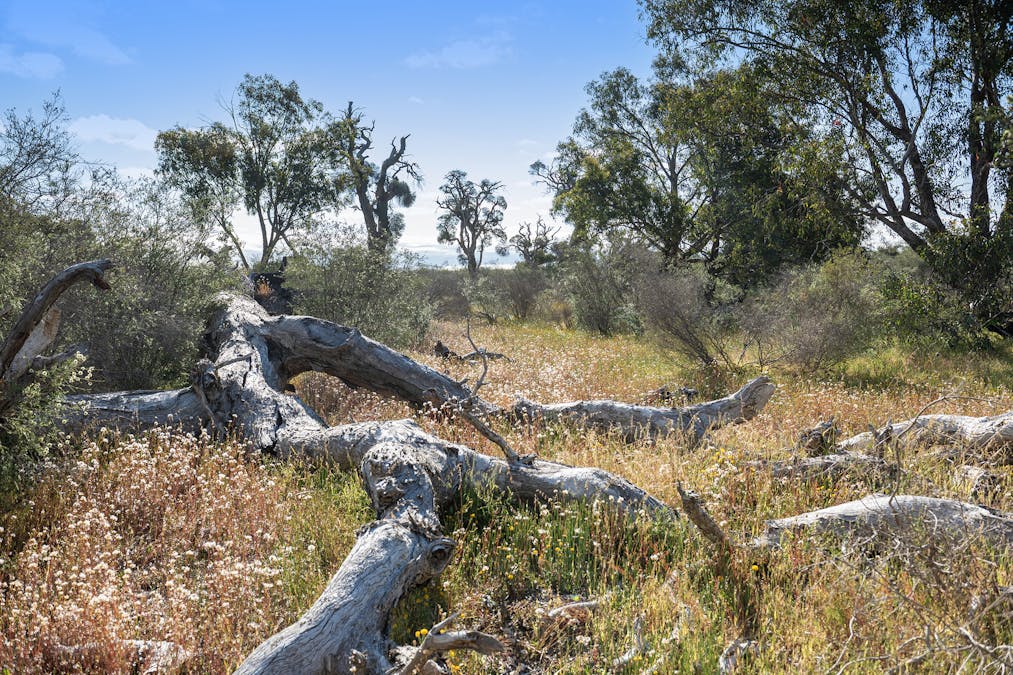 3691/Duffy Road, Bambun, WA, 6503 - Image 22