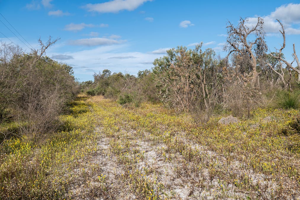 3691/Duffy Road, Bambun, WA, 6503 - Image 25
