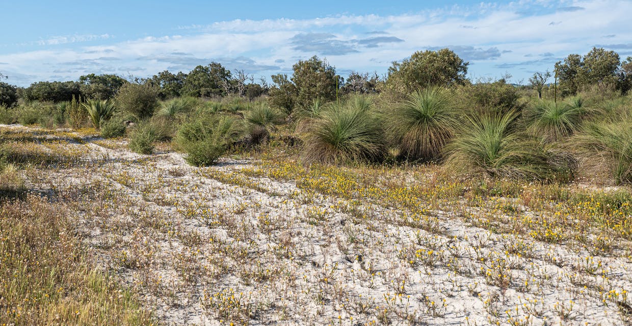 3691/Duffy Road, Bambun, WA, 6503 - Image 27