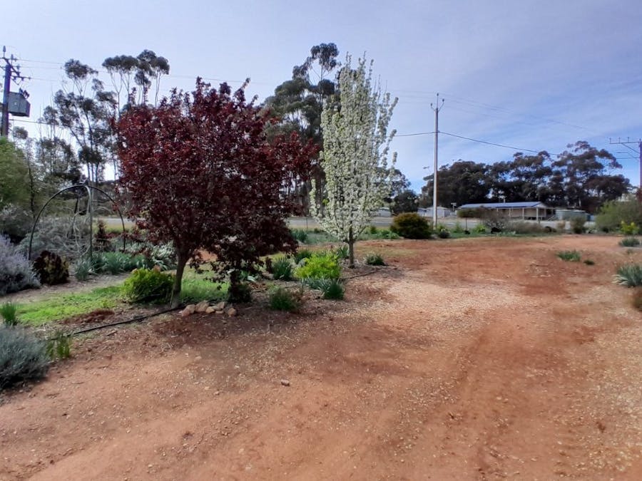 29/South Terrace, Farrell Flat, SA, 5416 - Image 15