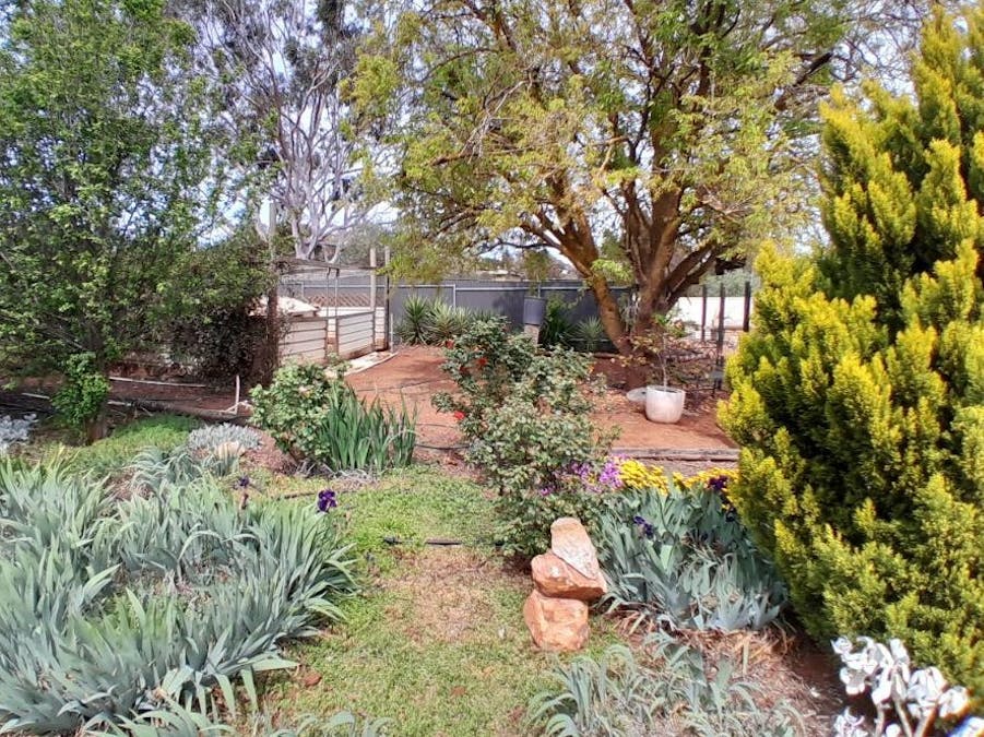 29/South Terrace, Farrell Flat, SA, 5416 - Image 16