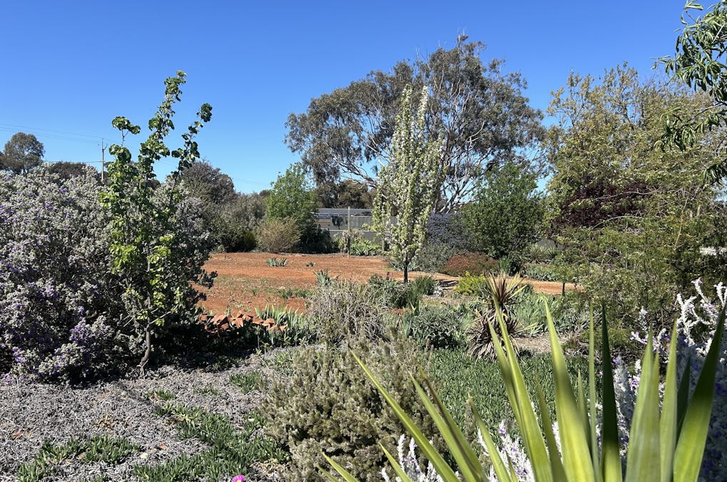 29/South Terrace, Farrell Flat, SA, 5416 - Image 2