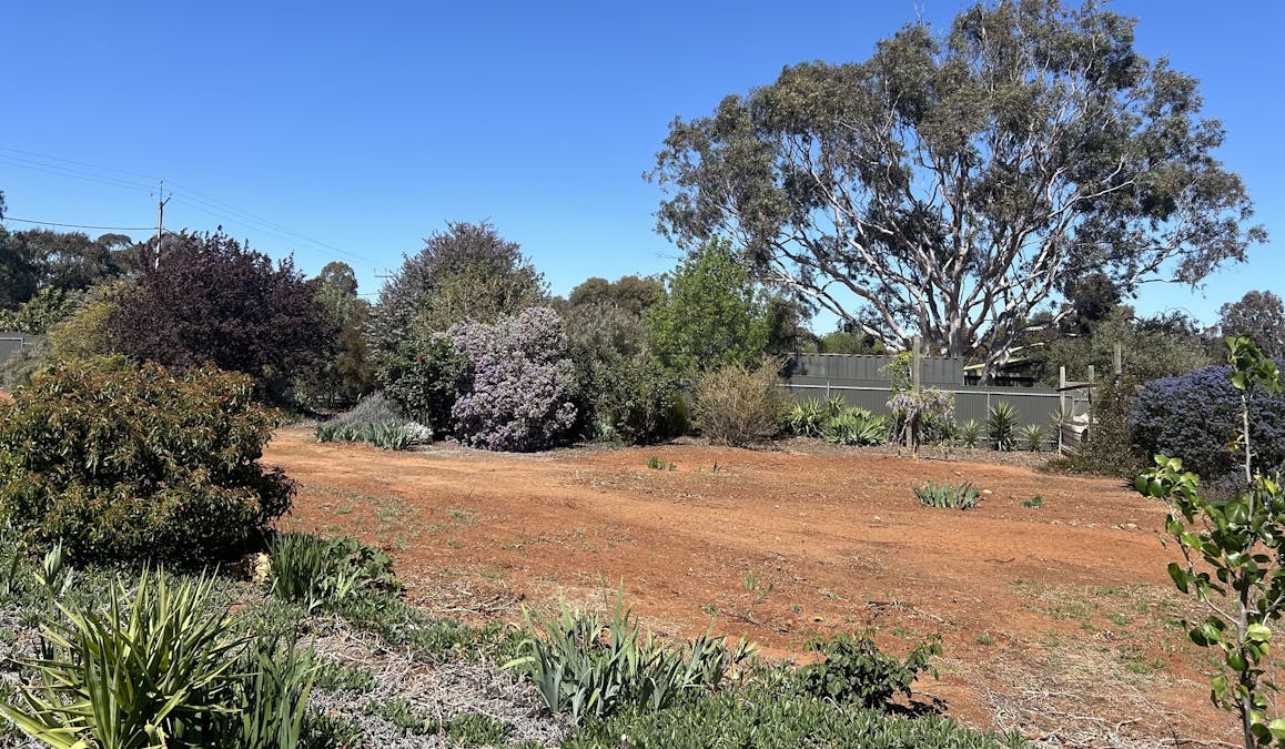 29/South Terrace, Farrell Flat, SA, 5416 - Image 3