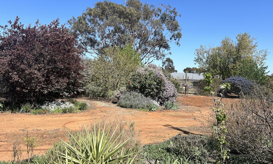 29/South Terrace, Farrell Flat, SA, 5416 - Image 4