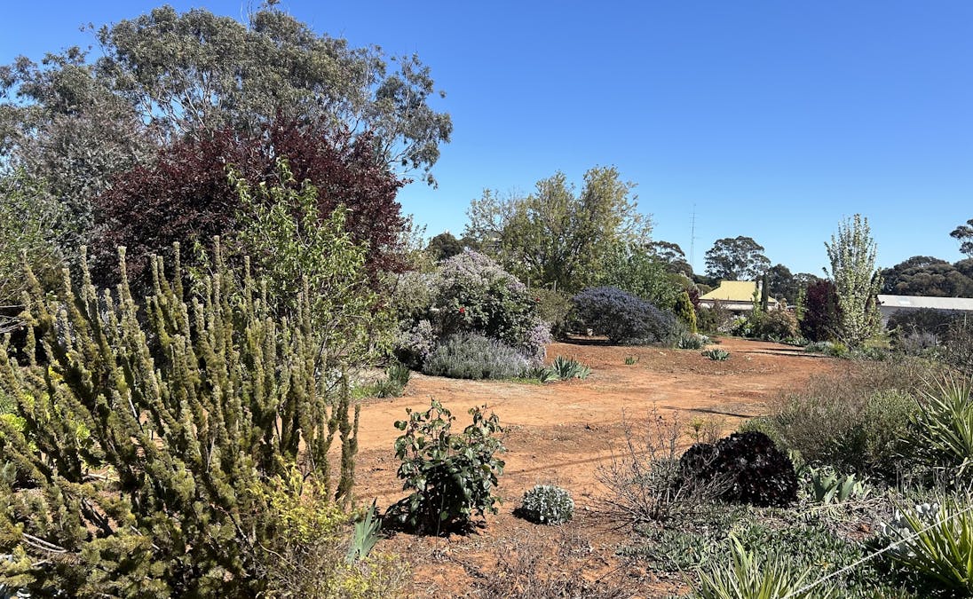 29/South Terrace, Farrell Flat, SA, 5416 - Image 5
