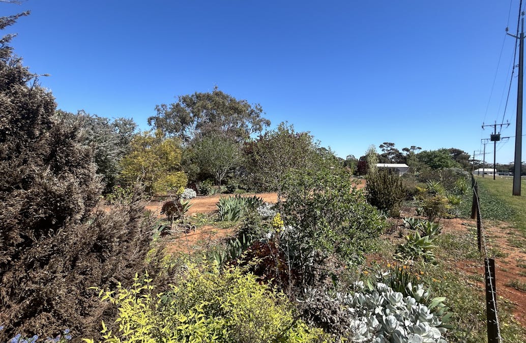 29/South Terrace, Farrell Flat, SA, 5416 - Image 8