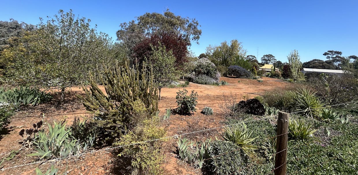 29/South Terrace, Farrell Flat, SA, 5416 - Image 9