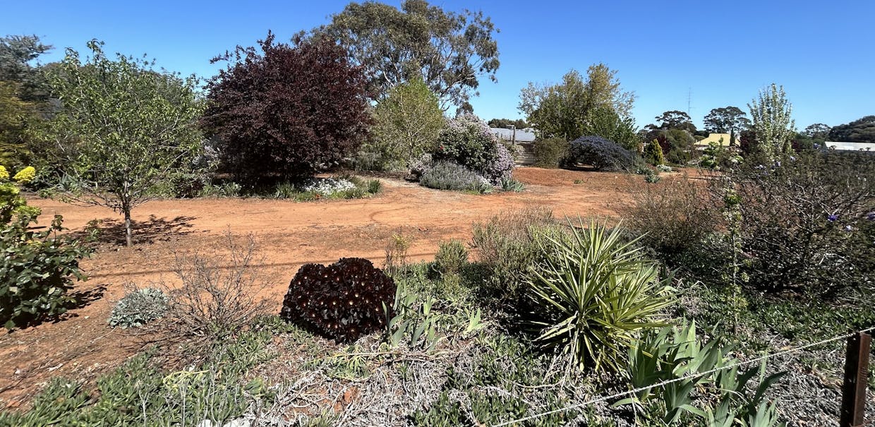 29/South Terrace, Farrell Flat, SA, 5416 - Image 10