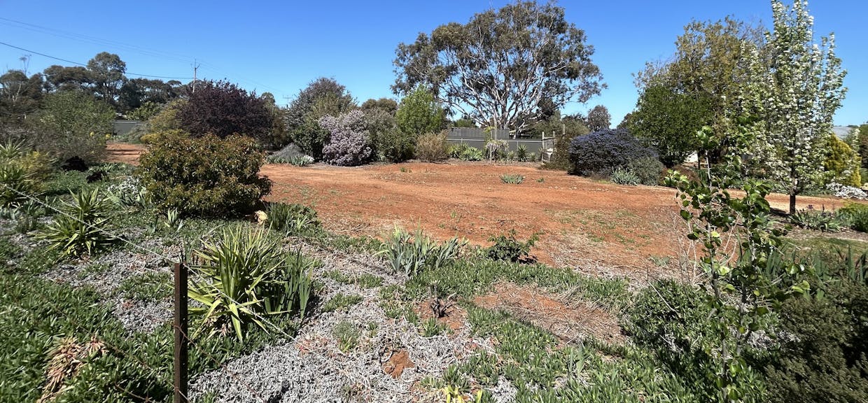 29/South Terrace, Farrell Flat, SA, 5416 - Image 11