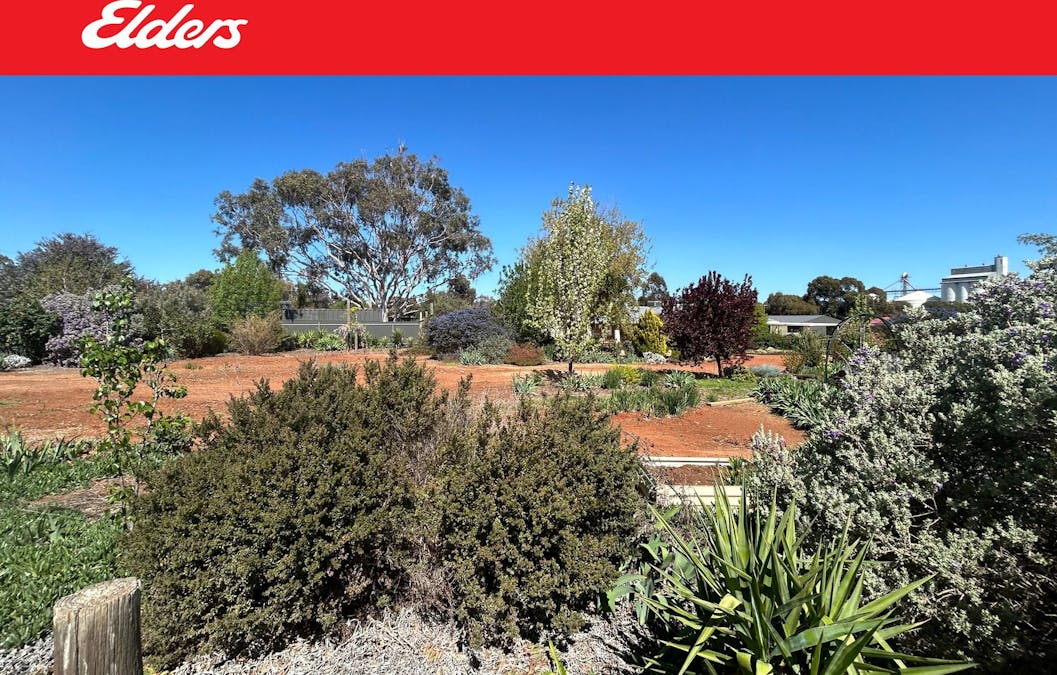 29/South Terrace, Farrell Flat, SA, 5416 - Image 1